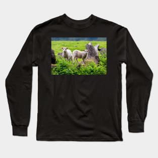 sheep Long Sleeve T-Shirt